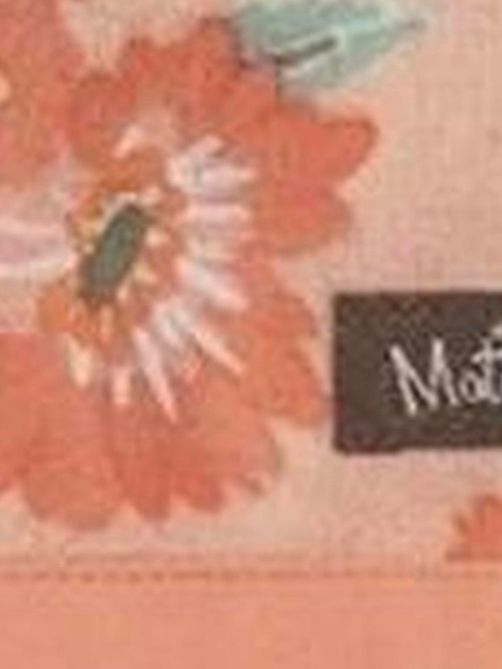 Matilda Jane ~ Baby Swaddle Blanket ~ Dream Chasers ~ Floral Print